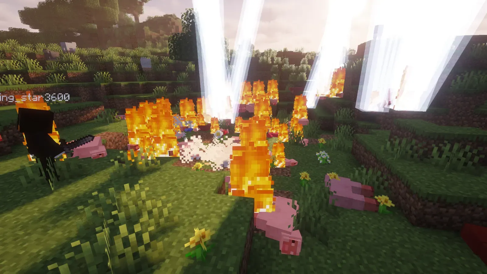 Scène Minecraft au coucher du soleil : plusieurs éclairs frappent une prairie, des cochons et l'herbe prennent feu autour d'un joueur.